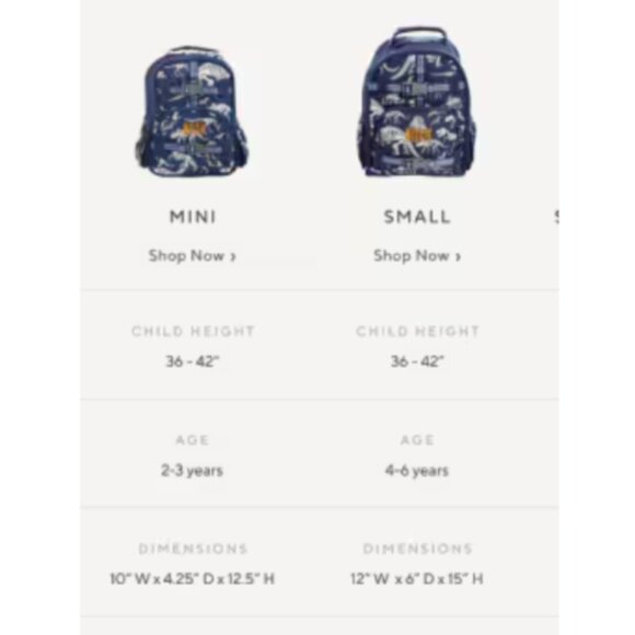 Pottery Barn Kids - 2 piece - Multi-sized Backpacks - Aqua Multi Heart - Picture 8 of 8